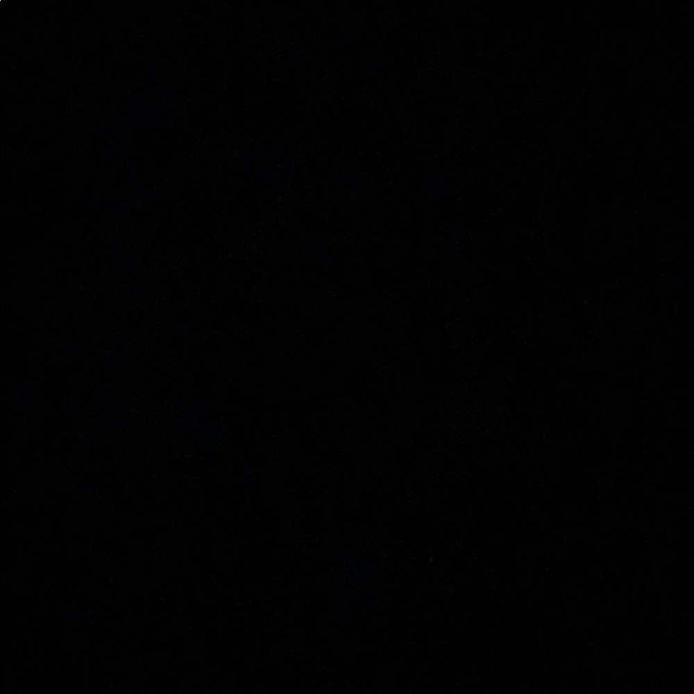 Meet your Posher, Lily